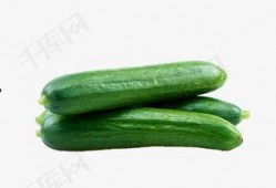 新疆网红吃瓜视频下载,一场视觉盛宴的美食之旅